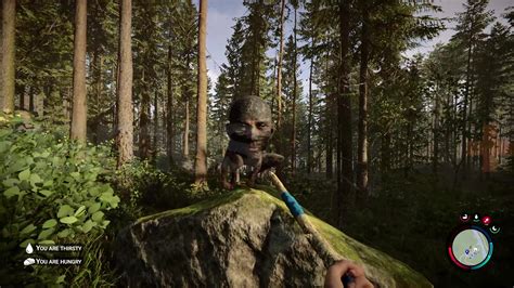 The Forest .